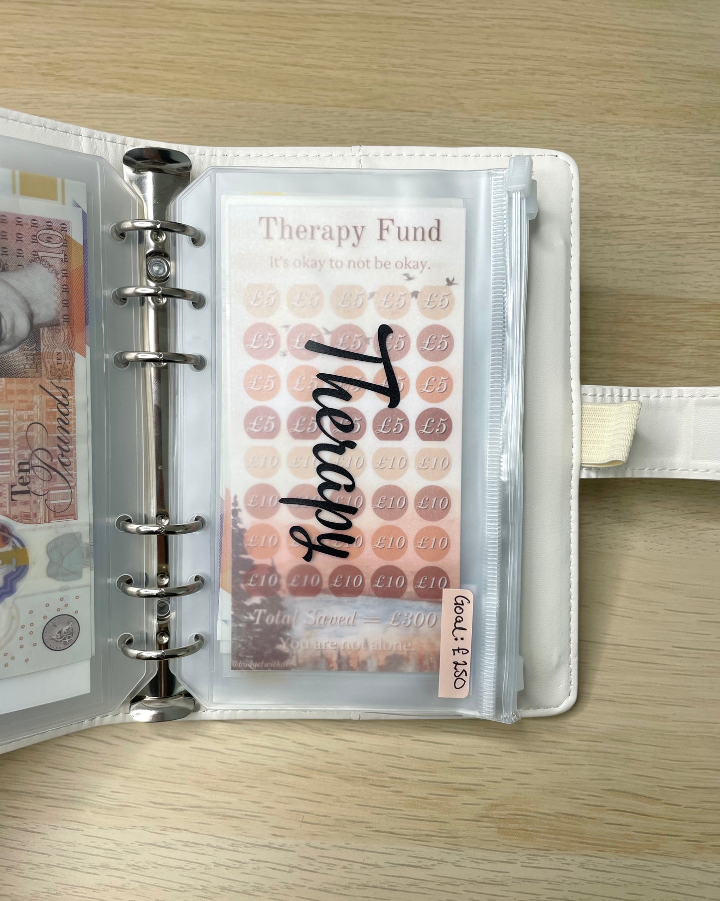 Therapy Fund Laminated Affirmation Tracker