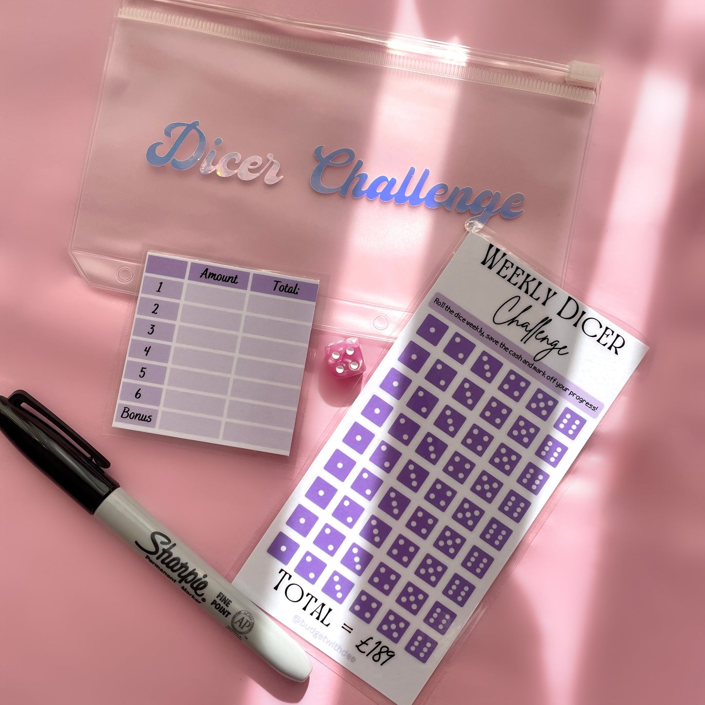 Weekly Dice Challenge - Save £189! Laminated Savings Challenge Set