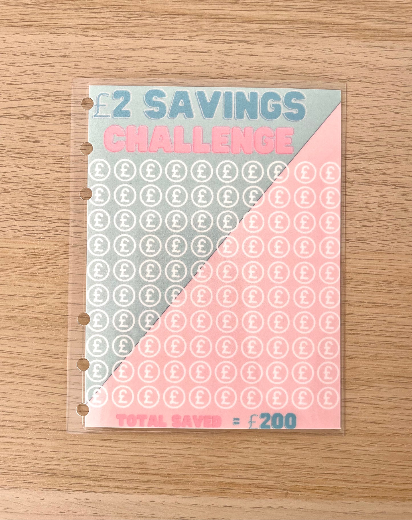 100 Day Saving Challenge - Hole Punched Laminated Tracker