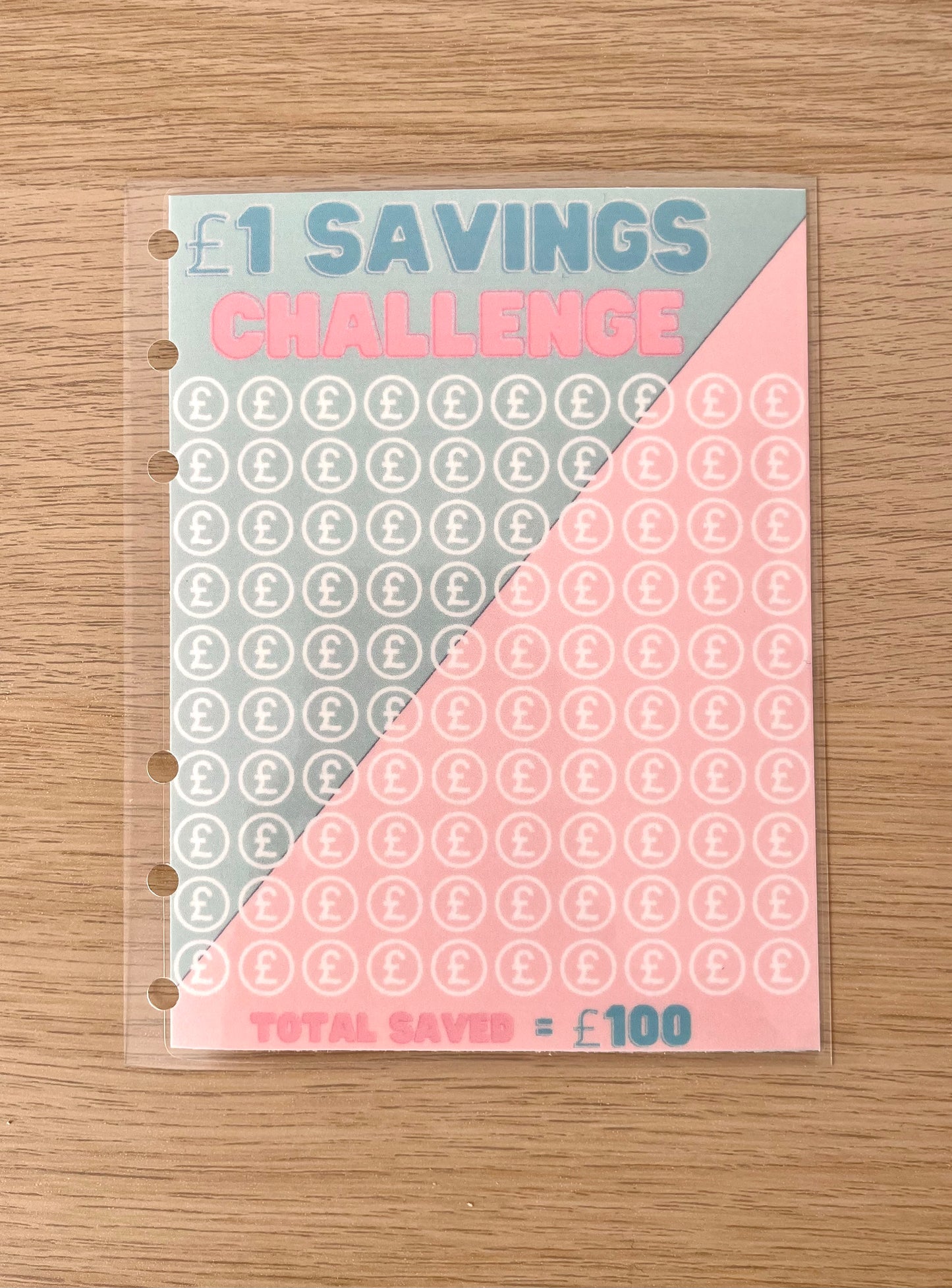 100 Day Saving Challenge - Hole Punched Laminated Tracker